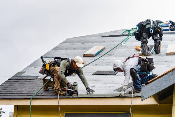 Professional Roofing technician working in Knoxville, IA